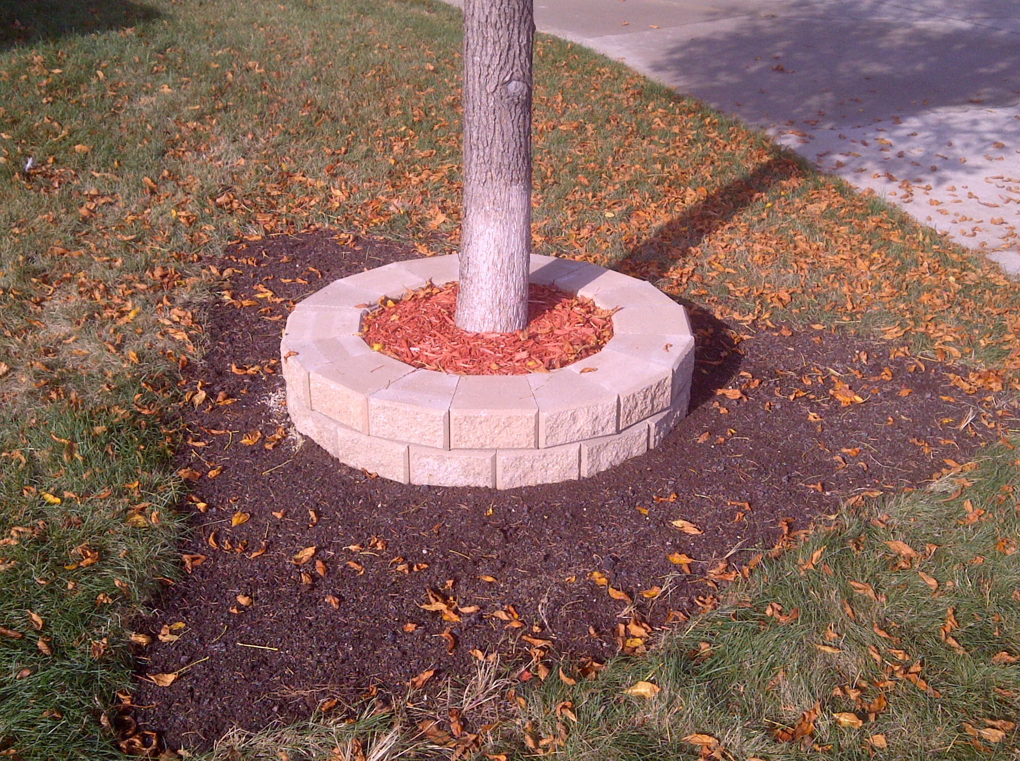 Cleaned-up area after tree removal with fresh tree ring bed