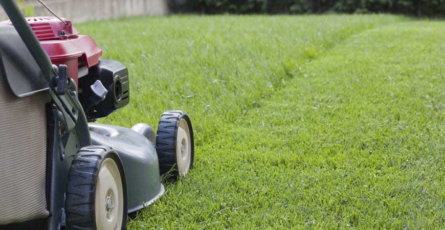 D&J Yardworks crew mowing a residential Winnipeg lawn with commercial-grade equipment