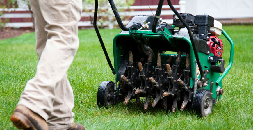 Core aeration service showing soil plugs removed from lawn to improve grass health