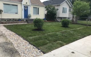 Lawn after fertilizer treatment - thick, lush green grass