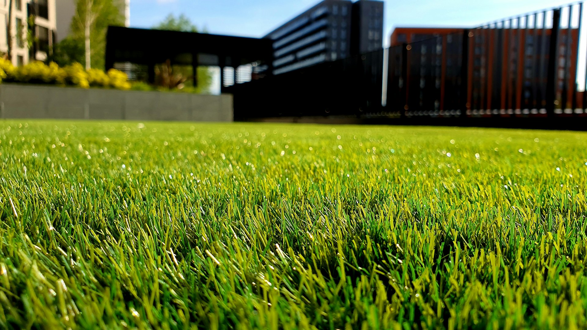 Healthy green lawn after professional top dressing treatment